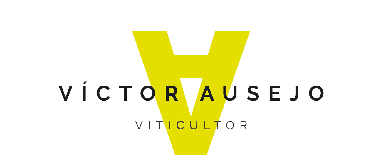 Logo Victor Ausejo