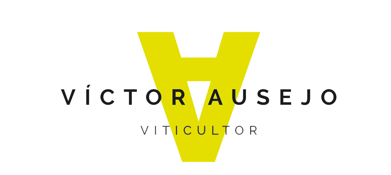 Victor Ausejo Logo