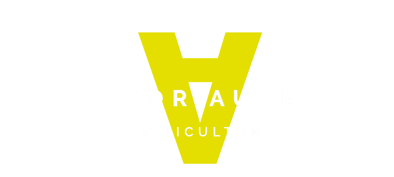 Logo Victor Ausejo